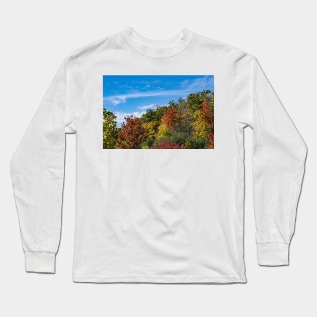 Fall Plumage Long Sleeve T-Shirt by srosu